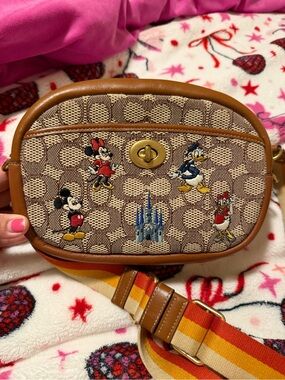Coach Disney camera bag